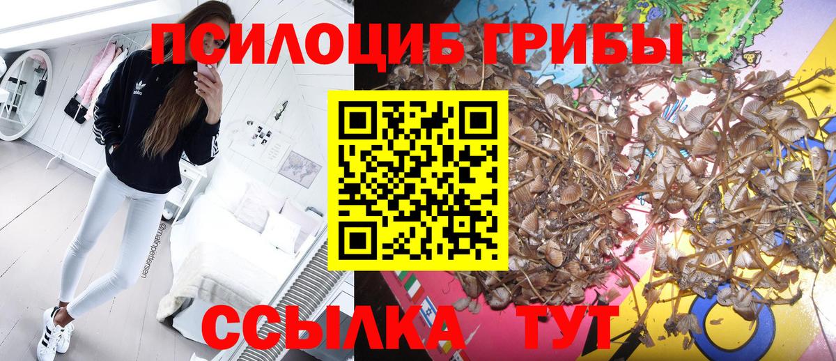 хочу   Псилоцибиновые грибы GOLDEN TEACHER  Вход с VPN  Ухта 