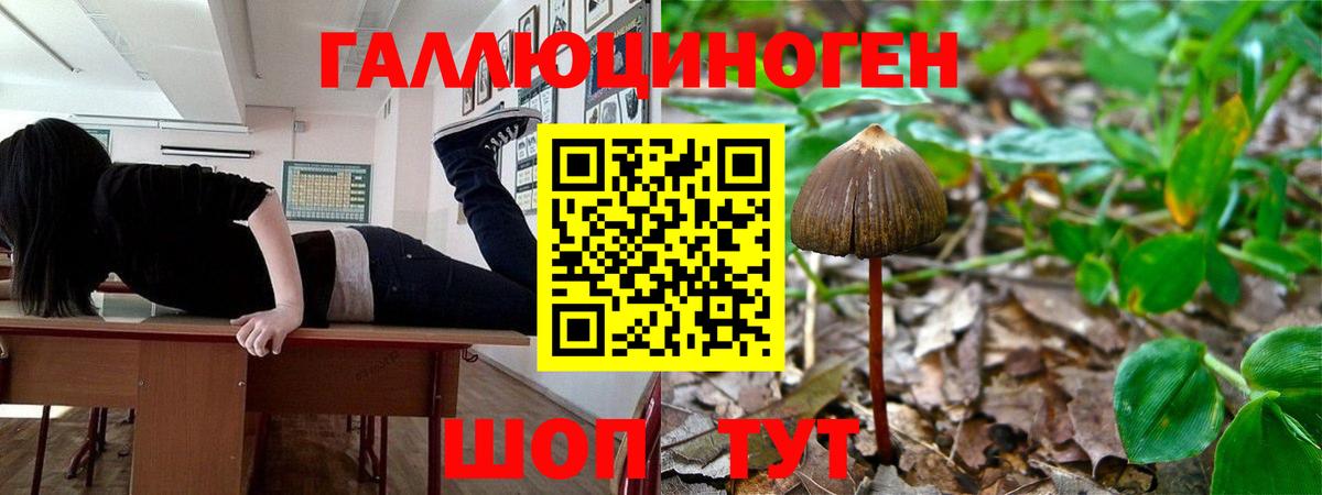 Галлюциногенные грибы MAGIC MUSHROOMS Ухта