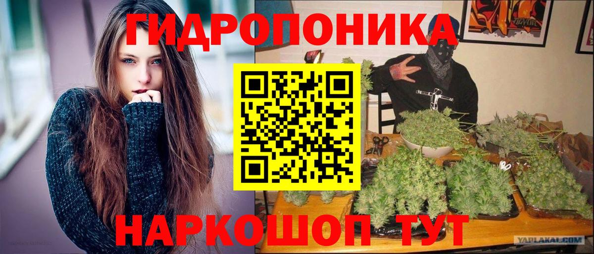 Канабис Bruce Banner Ухта